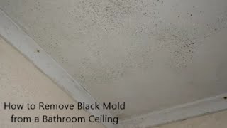 How to Remove Black Mold from a Bathroom Ceiling