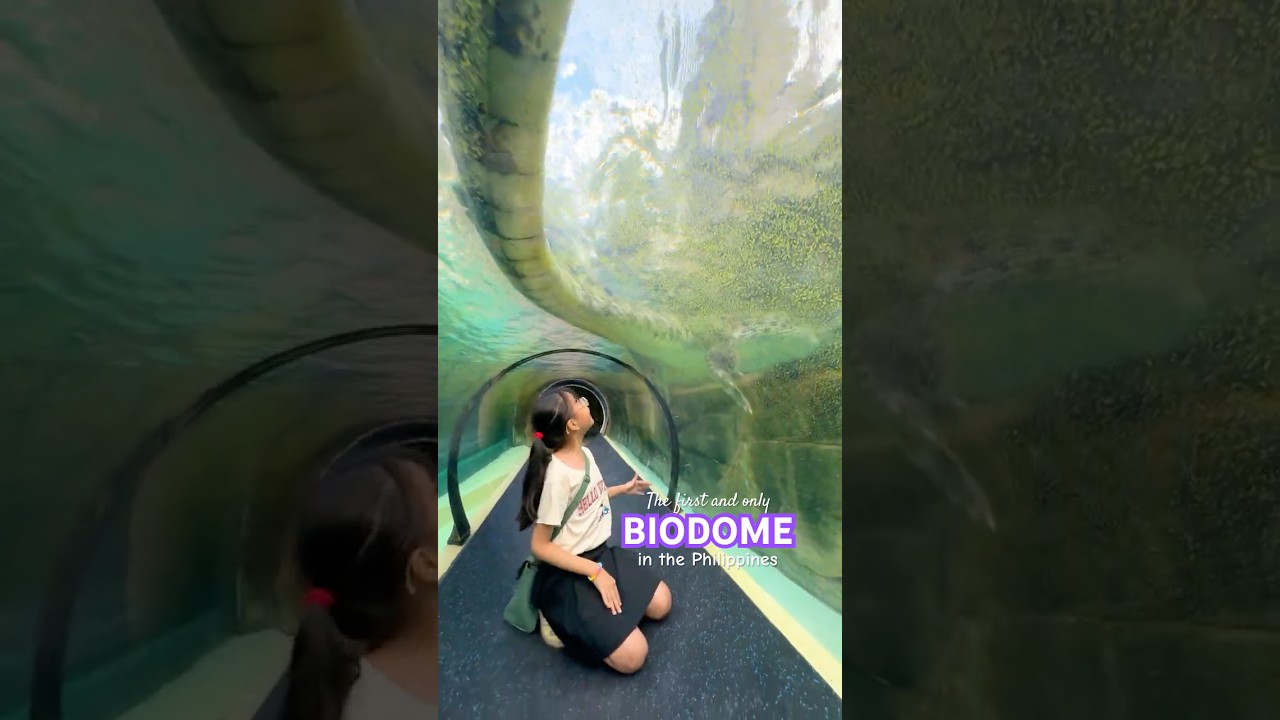 YouTube Short thumbnail