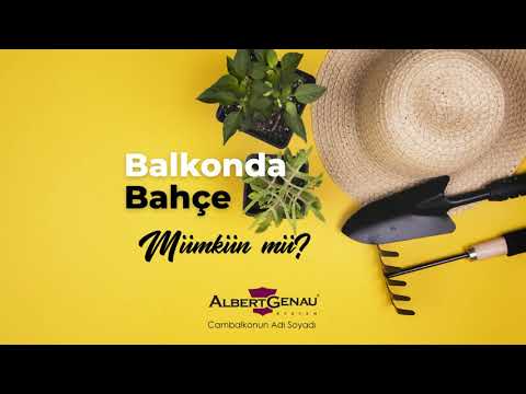 Albert Genau Cam Balkon