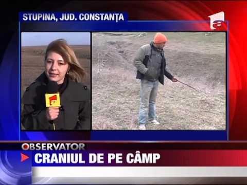 Descoperire macabra pe un camp din Constanta 21 MARTIE 2011