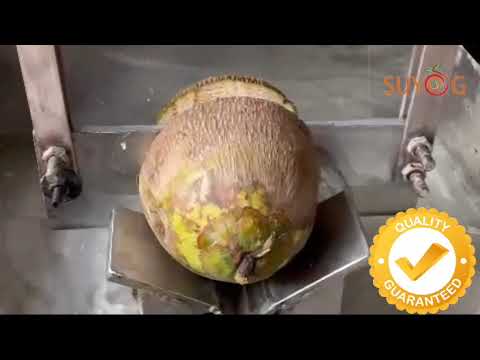 Frozen Tender Coconut Malai