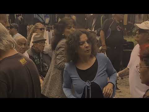 Steve Gunn "Morning on K Road" [Official Video]