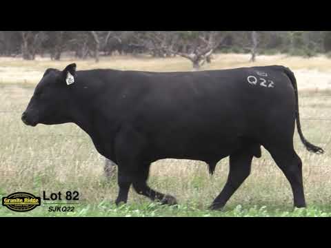 GRANITE RIDGE QUENTIN Q22