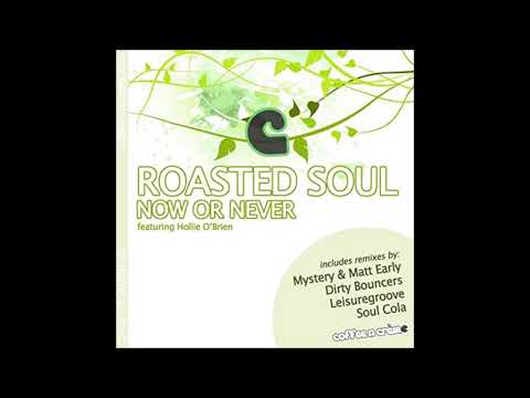 Roasted Soul feat Hollie Obrien -  Now Or Never (velvety)