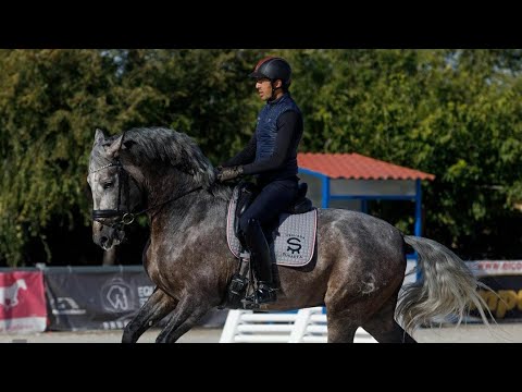 Así son las instalaciones de la Yeguada Susaeta - Entrevista con el jinete Guillermo García Ayala