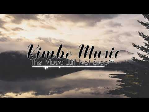 DJ TRANZFORMER - LOVE WILL NEVER LIE - [REGGAE REMIX] 2020