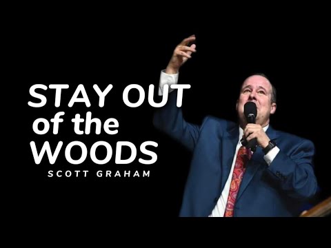 Scott Graham - STAY OUT OF THE WOODS