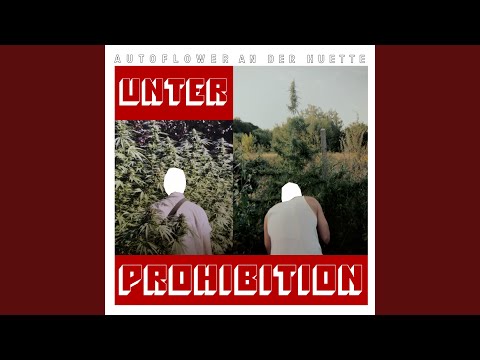 Autoflower an der Huette