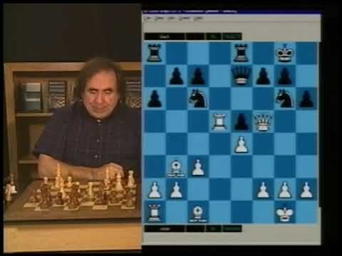 Chess  Smyslov vs  Reshevsky