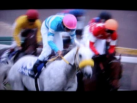 2014 第48回 スプリンターズステークス G1 レース 結果。 Sprinters Stakes G1 Races results.