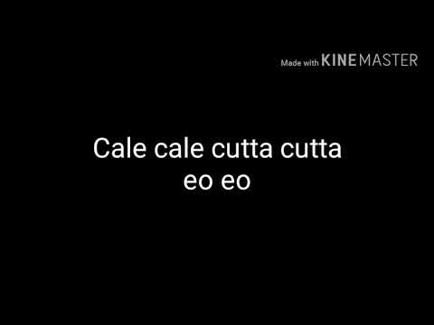 Calcutta ( Taxi Taxi Taxi ) - Dr. Bombay Lyrics