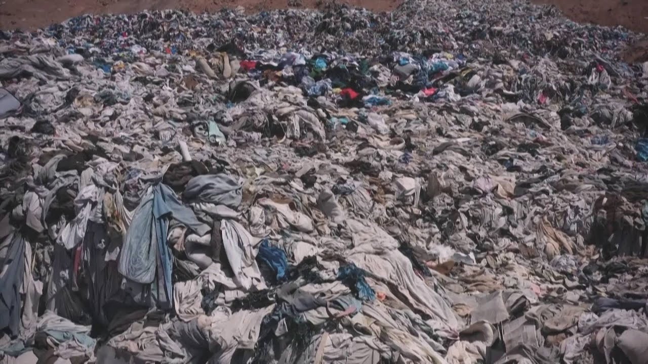 Consumismo: natureza é afetada pelo consumo desenfreado