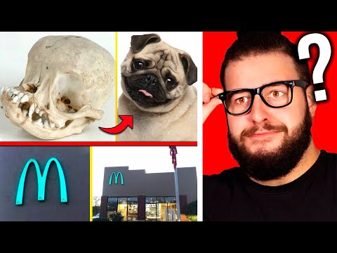 REACTING TO THINGS YOU DIDN'T KNOW 5 MINUTES AGO