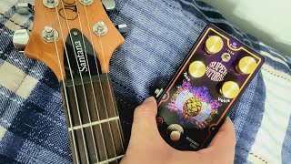 Video thumbnail for Missing Link Audio Super Natural (Carlos Santana Signature Overdrive) #santana #guitarpedals by GearSmack Music