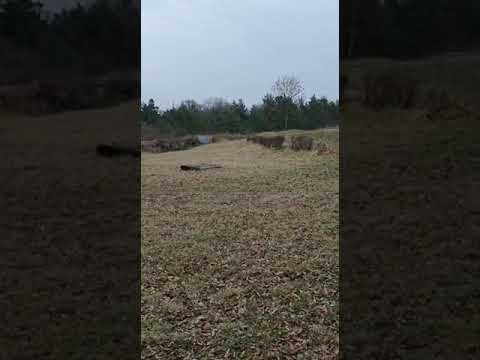 Kaiser Wilhelm Festung