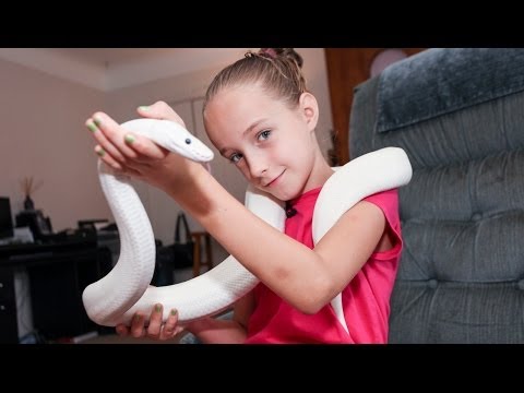 9歳のスネークハンドラー クリスタ・グアリノ (9-Year-Old Snake Handler Krista Guarino)