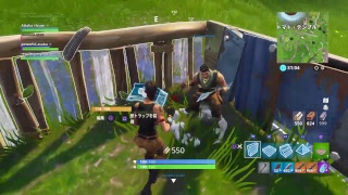 ps4ばぐってます
