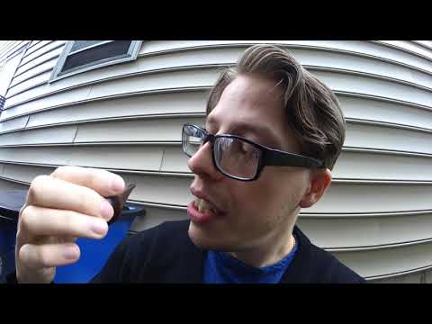 My 2nd Dunhill Pipe??