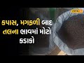 Amreli News કપાસ મગફળી બાદ તલના ભાવમાં મોટો ક�
