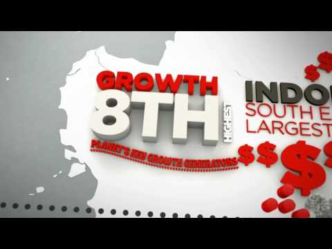 INDO365 - PROFILE - Indonesia & Economy