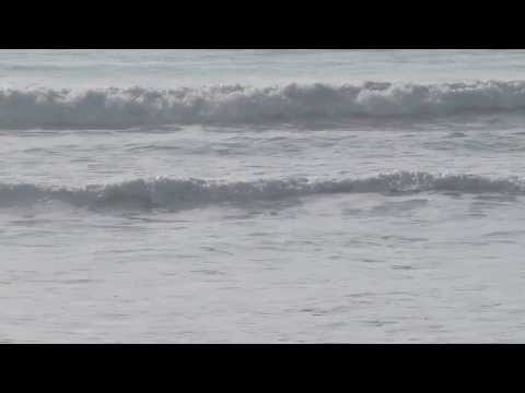 Small fun waves at Borth