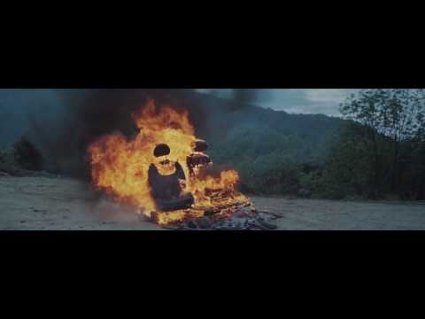 WILD BEASTS- Big Cat