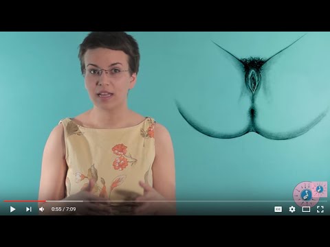 Cum se împarte un penis