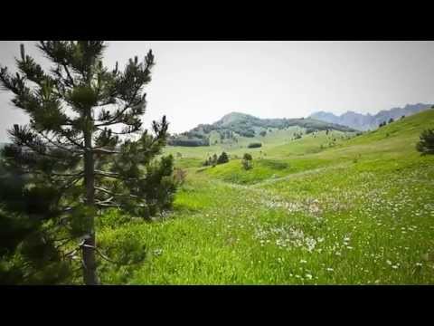 Sutjeska National Park - Promotional video | visitbosnia.eu