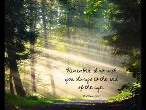 Danut Badita - Viata aceasta pe pamant