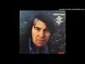 Link Wray - Shine the Light