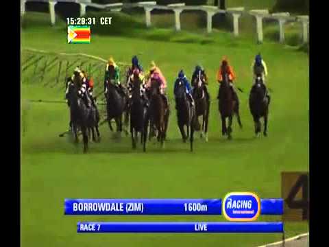 2014.01.26 The All To Come Fillies Classic - Casey's Dance