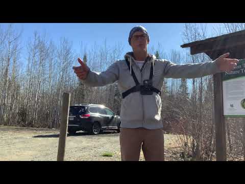 Just a quick prelude to hike at Pearson Wetland Trail. 7km hike