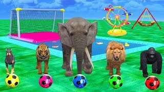 Cartoon Animals Playing Soccer Balls - Wild Animals In Outdoor Playground In Swimming Pool For Kids