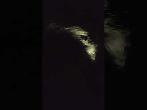 daddy chill situation