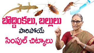 Dr. Anantha Lakshmi - Best moral video |kitchen Tips || Lizards, Cockroaches Escaping Tips