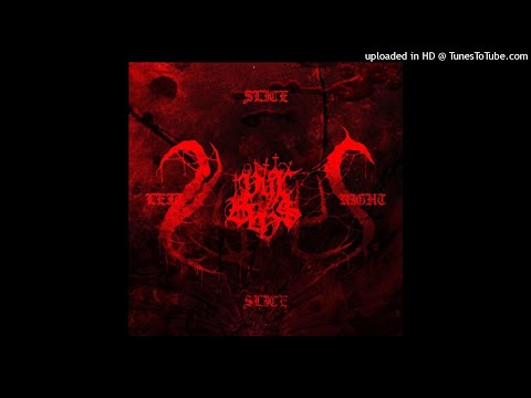 VYX BLV$ - LEFT RIGHT $LICE $LICE (Prod. C4VITY)