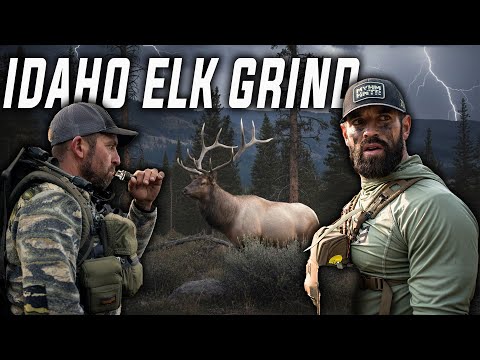 Archery Elk Hunting Idaho With Rich Froning (4k Hunt Film)