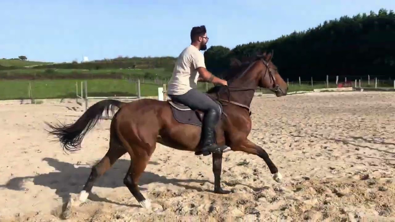 My Boy Diadal ☆ (JACKPOT x COLLADO) video 1