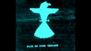 Flux Of Pink Indians -  Demos+ Comps (FULL)
