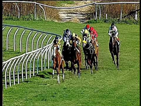 Galoppo 06/12/2017 - 2ª corsa