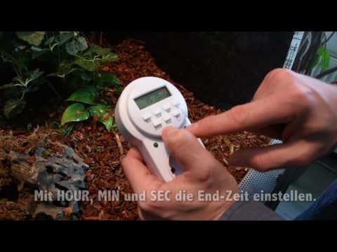 Watch Video on YouTube