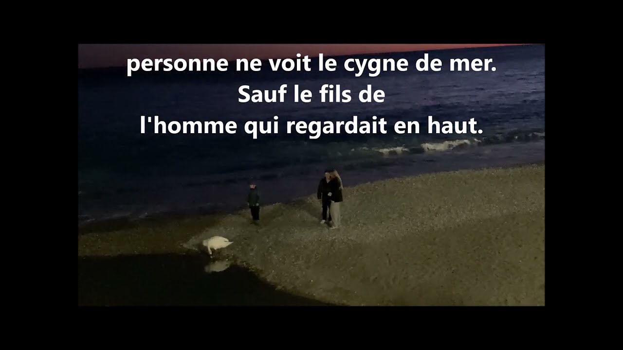 Conte: Le cygne dans les houles pour devenir la lune