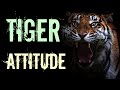 Tiger Attitude Baagh Hindi Motivation 2020 Until I Win