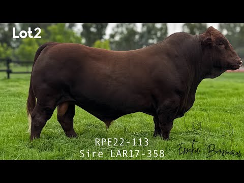 PV25 Lot02 RPE22-113