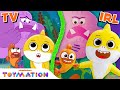 Baby Shark Explores The Kelp Woods Baby Shark S Big Show Toys Toymation
