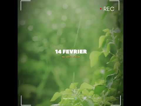 14 FEVRIER - FINJAH X NEL ( Lyrics 2026)