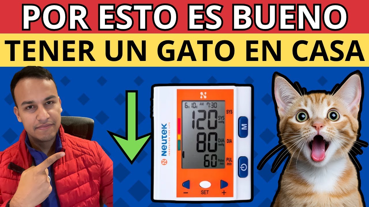 ¿GATOS como medicina? La CIENCIA lo confirma