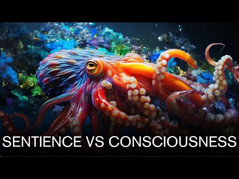The Difference Between Consciousness and Sentience