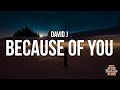David J - Because of You (Lyrics) 
