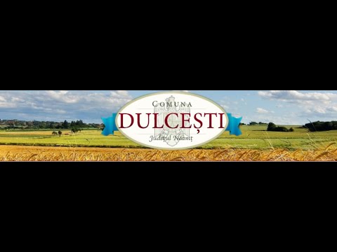 Ședința Consiliului Local - Comuna Dulcești 28.02.2023